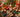 Before You Fill Your Holiday Shopping Cart, Take a Look Around Your Own Community