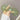 4c61a336-2509-4ce4-a348-4718fd6903bf-Max-Origin