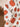 5b4e4afa0209409490ca119a6e489d68-Max-Origin