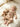 da9ae90f4b3148039e9e842483028813-Max-Origin