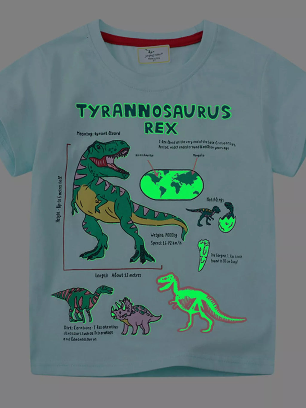 eae423c0-93dd-4c7d-b271-28409180745a-Max-Origin